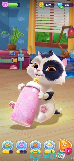 My Cat电子猫咪j9九游会网址是什么